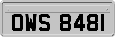 OWS8481