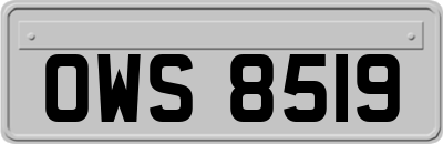 OWS8519