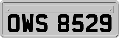 OWS8529