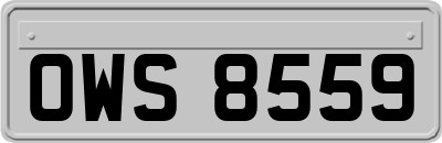 OWS8559