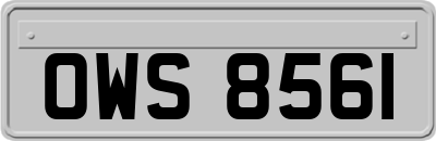 OWS8561