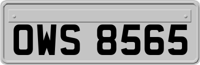 OWS8565