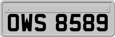 OWS8589