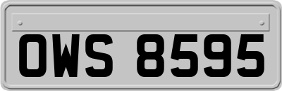 OWS8595