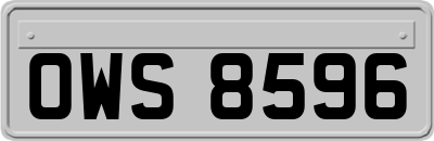 OWS8596