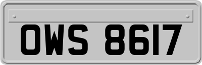 OWS8617