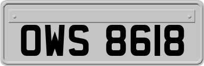 OWS8618