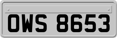 OWS8653
