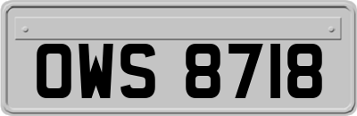 OWS8718