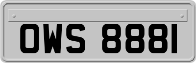 OWS8881