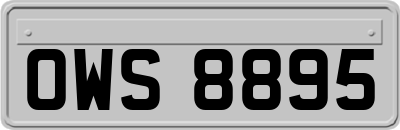 OWS8895