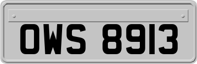 OWS8913