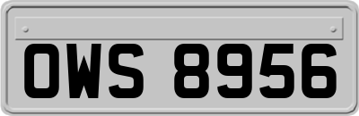 OWS8956