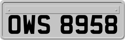 OWS8958