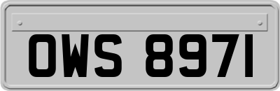 OWS8971