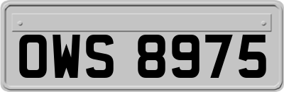 OWS8975