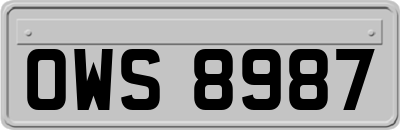 OWS8987