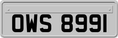 OWS8991