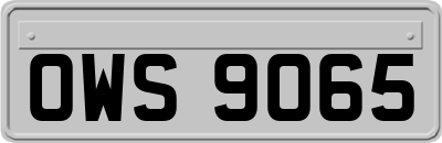 OWS9065