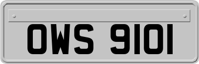 OWS9101