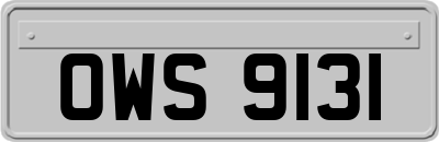 OWS9131