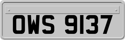 OWS9137