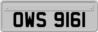 OWS9161