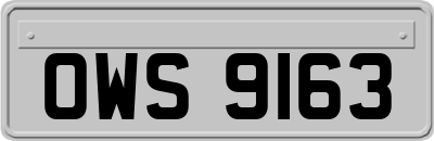 OWS9163