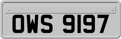 OWS9197