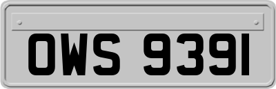 OWS9391