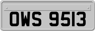 OWS9513