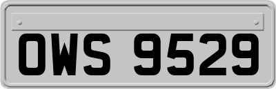 OWS9529