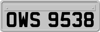 OWS9538