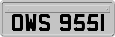 OWS9551