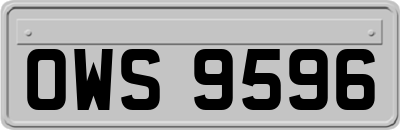 OWS9596