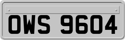 OWS9604