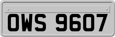 OWS9607