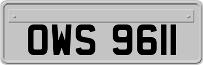 OWS9611