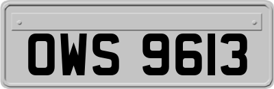OWS9613