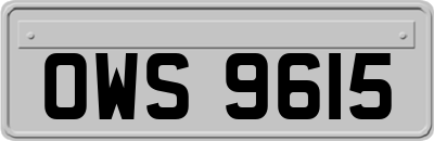 OWS9615