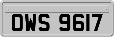 OWS9617