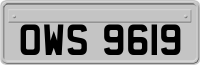 OWS9619