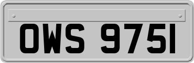 OWS9751
