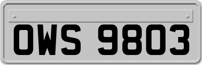 OWS9803