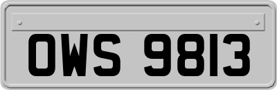 OWS9813