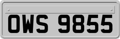OWS9855