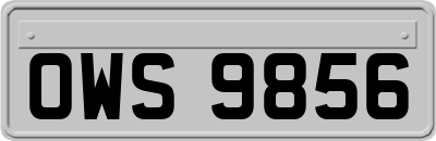 OWS9856