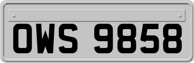 OWS9858