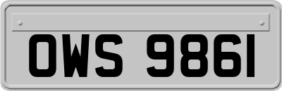 OWS9861