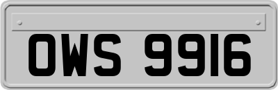 OWS9916